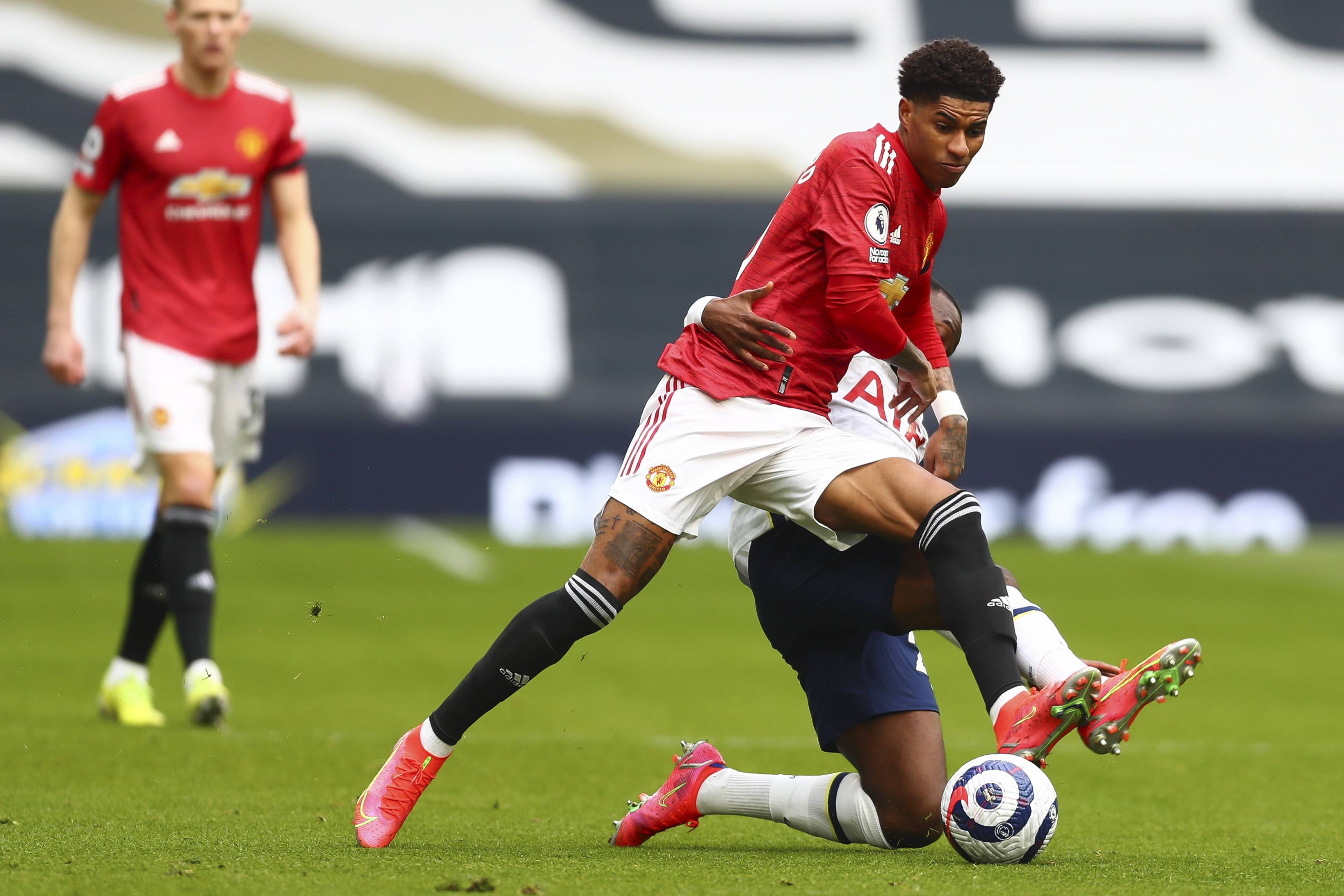 泰拉恰诺加 泰拉恰诺加